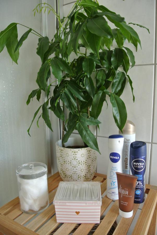 Rheinau Apartment Ngoại thất bức ảnh